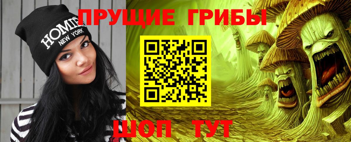 Псилоцибиновые грибы Psilocybe Грозный