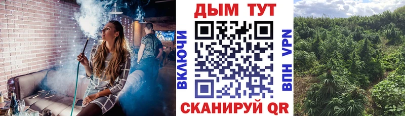 kraken tor Грозный Канабис LSD WEED купить закладку